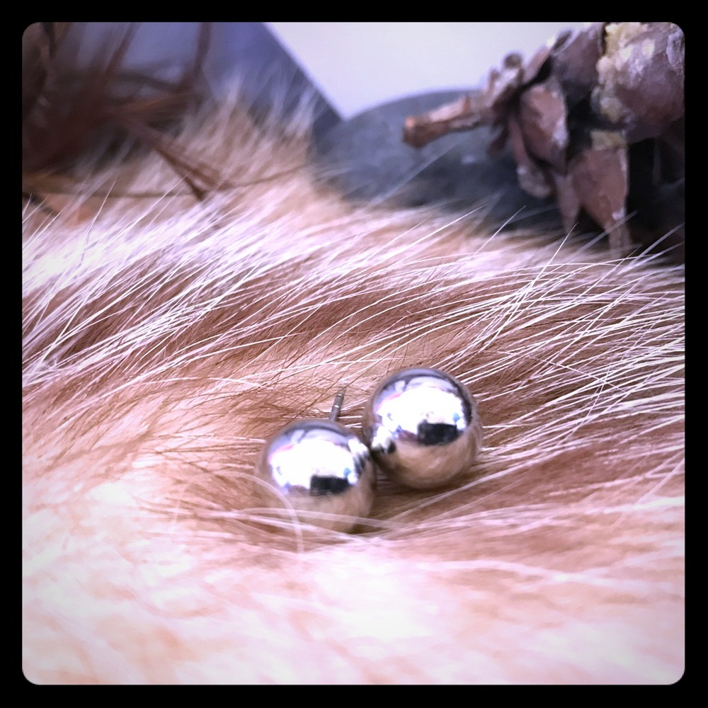 Titanium steel earring studs